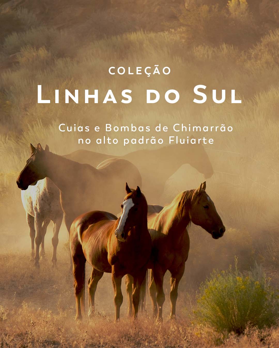 bannermenudestaques